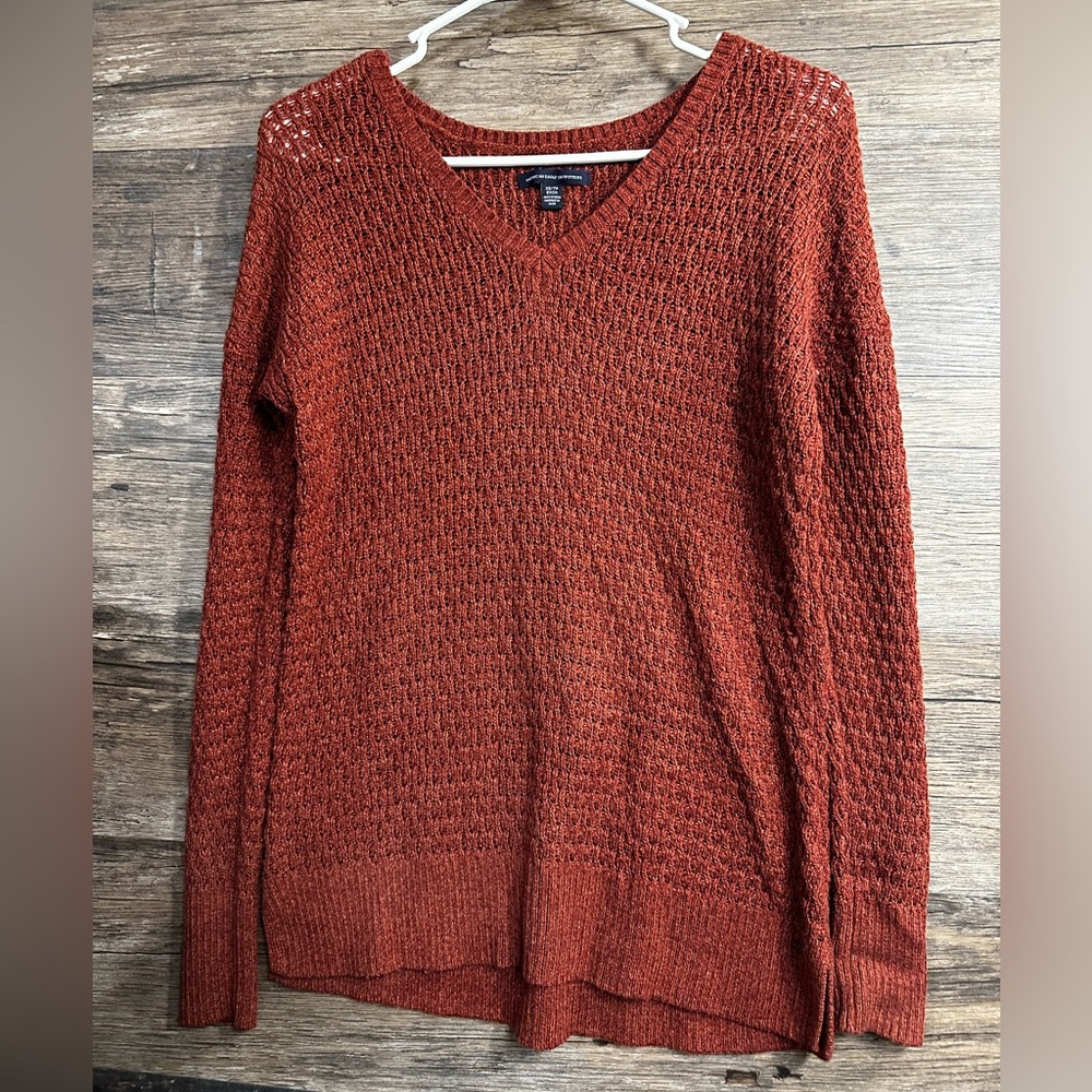American Eagle Outfitters Rust Burnt Dark Orange V-Neck Sweater